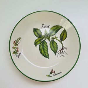 OVER AND BACK Stoneware Green Rim "Basil" Spike Flower Pasta Bowl